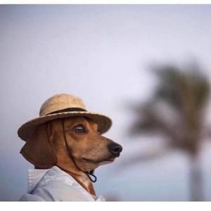 Meet your Posher, Sonia